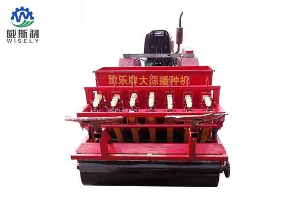 China Plantador automático vermelho do alho, fileiras do equipamento de plantação 7 ou 5 do alho fornecedor