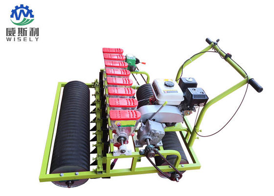 China Máquinas do plantador da salada verde das linhas do motor de gasolina 8 usadas na agricultura fornecedor